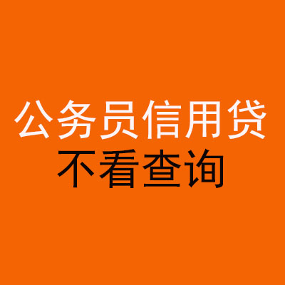 麦盖提公务员信用贷款